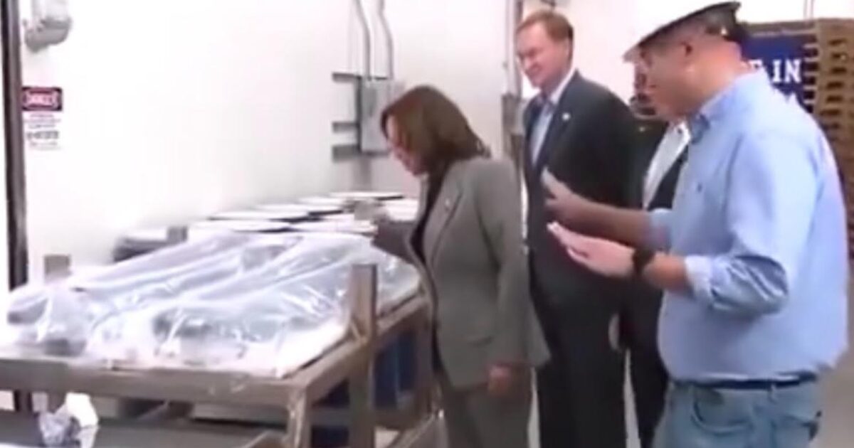 “Do Not Touch It!” – Idiot Kamala Harris Tours Semiconductor Plant and it Went Exactly How You Would Expect (VIDEO)