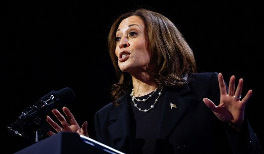 Kamala Harris, the Sex Candidate