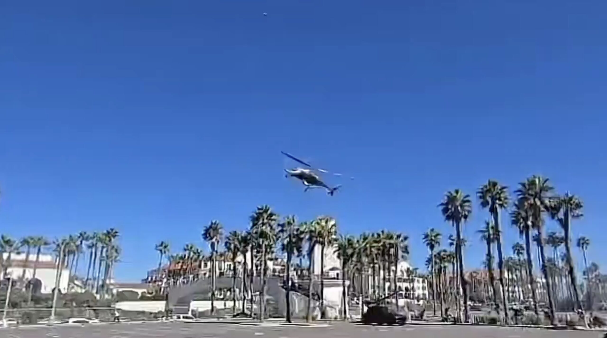 Helicopter flying over a palm tree-lined area against a clear blue sky, showcasing urban landscape and aviation in action.